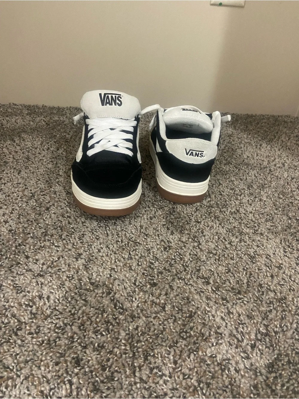 Vans Black and White Low-Top Skate Sneakers